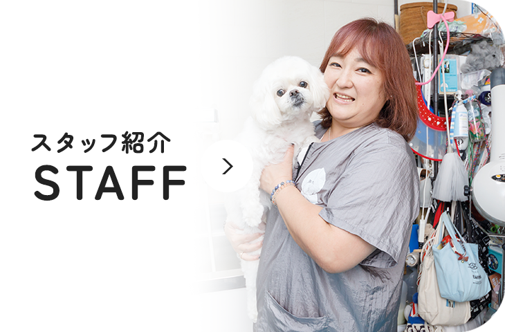 スタッフ紹介